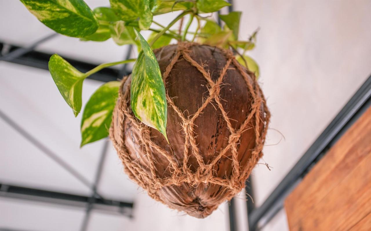 ホテル Tranquil Nest Vaavu Rakeedhoo エクステリア 写真