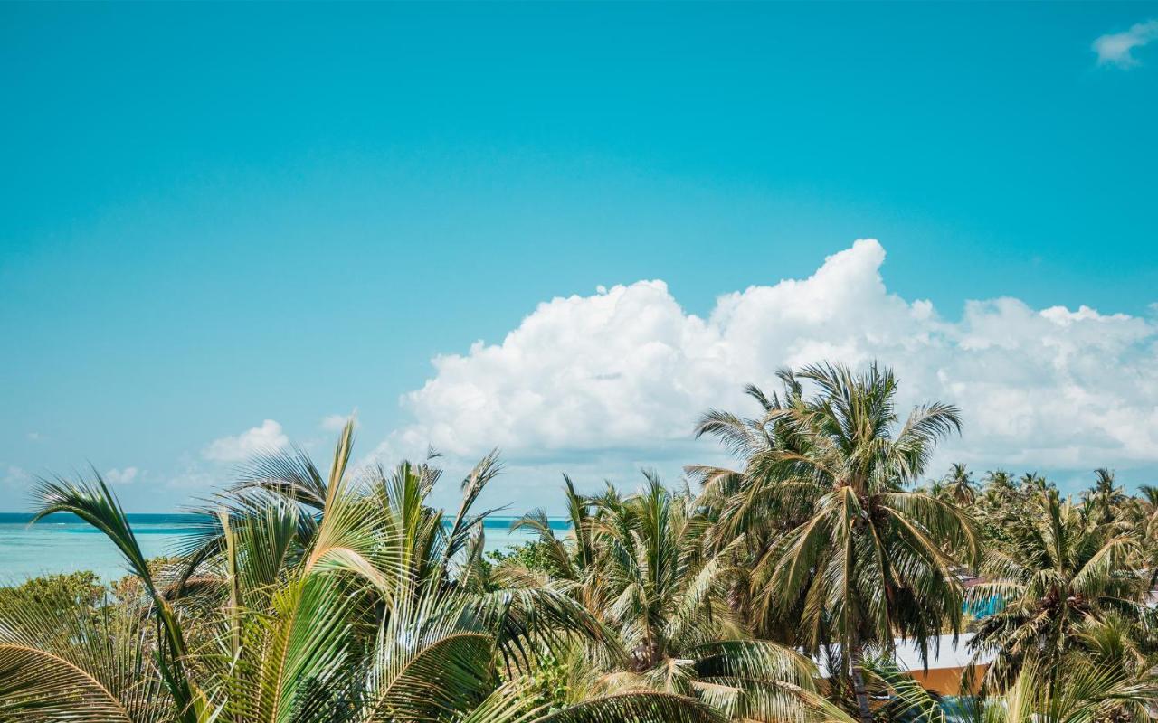 ホテル Tranquil Nest Vaavu Rakeedhoo エクステリア 写真